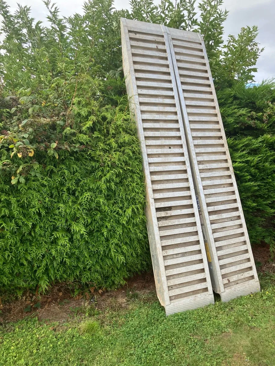 Loading skids - Image 2