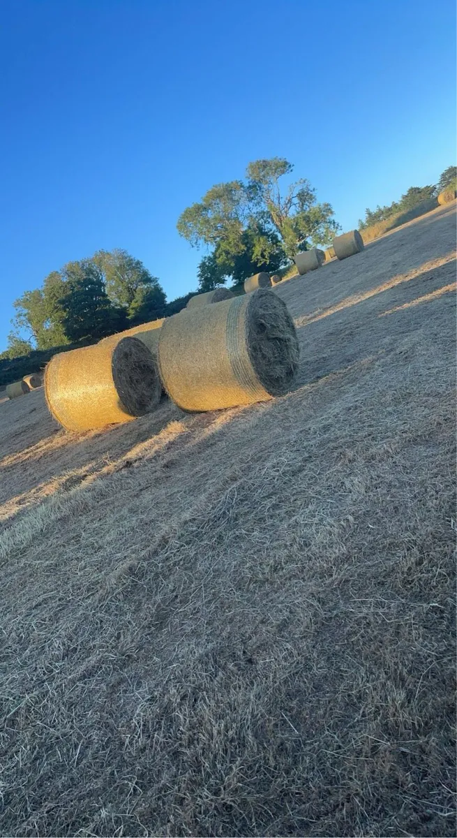 2025 hay round and square - Image 3