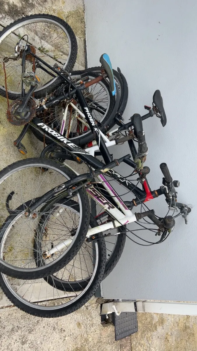 3 Children’s Bikes