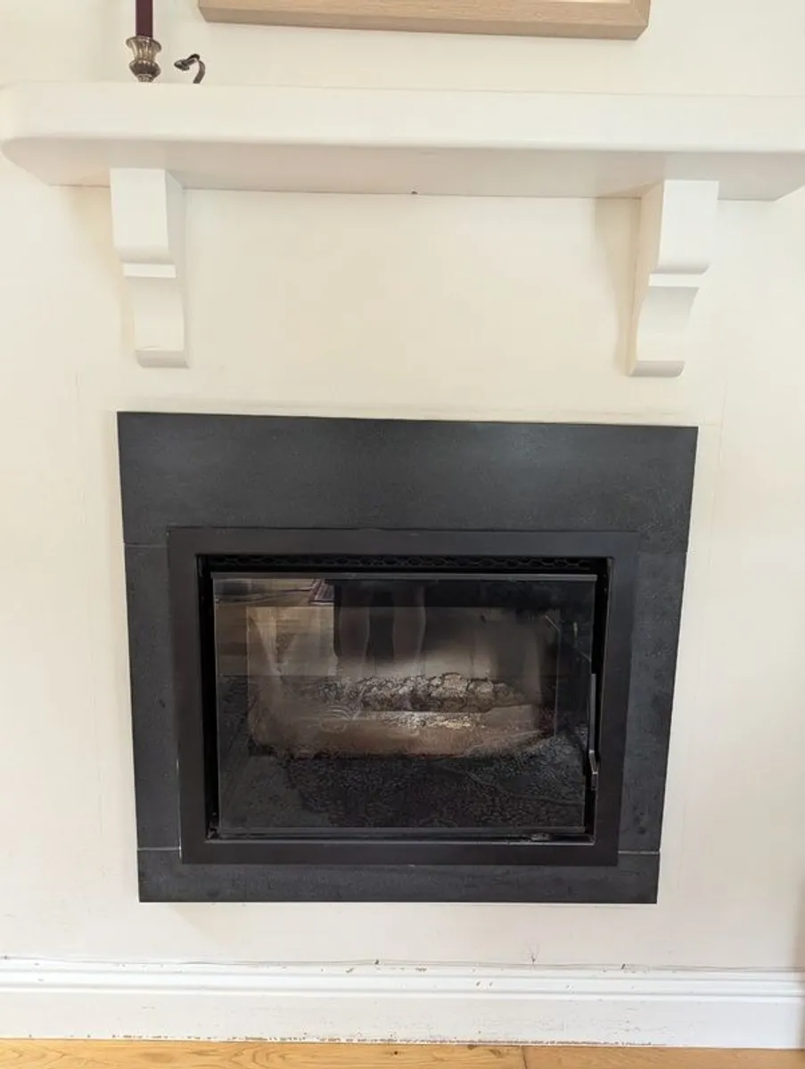 Seguin 650 with fan Wood burning insert stove - Image 2