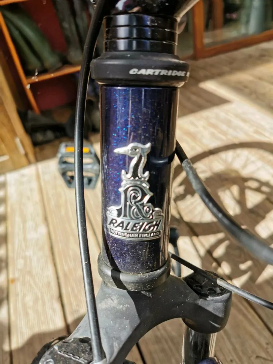 Raleigh Eva 20 Kids bike - Image 4