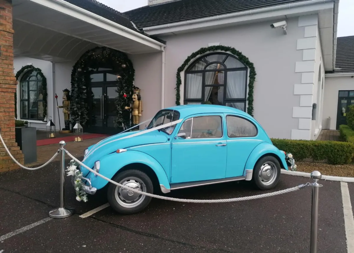 Vw beetle - Image 4