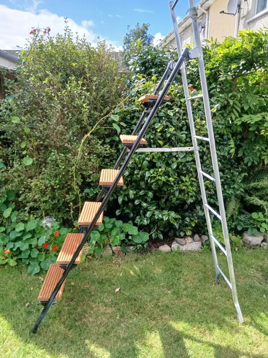 Heavy-Duty Ladder - Image 1