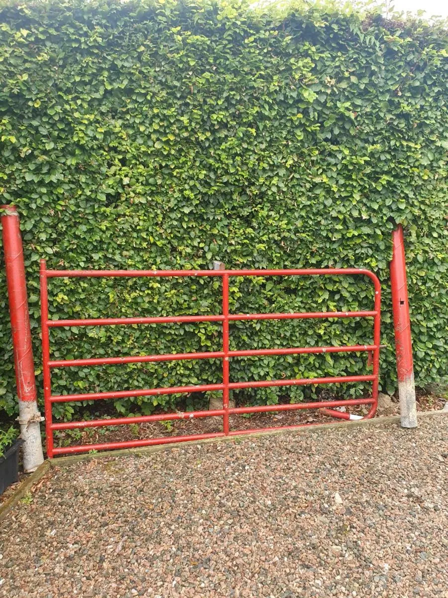 Farm gate