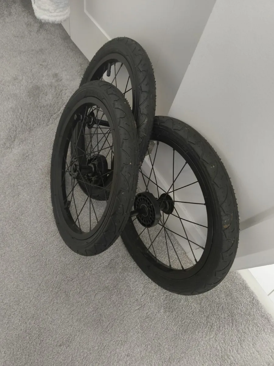 Running buggy - Image 4