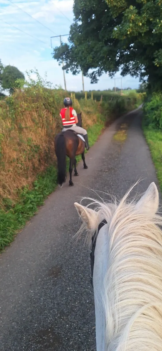 Exceptional childs Pony 13hh - Image 3