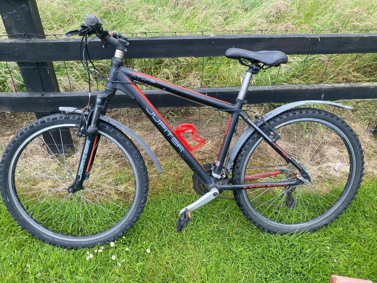 Teenager Mountain Bicycle - Image 1