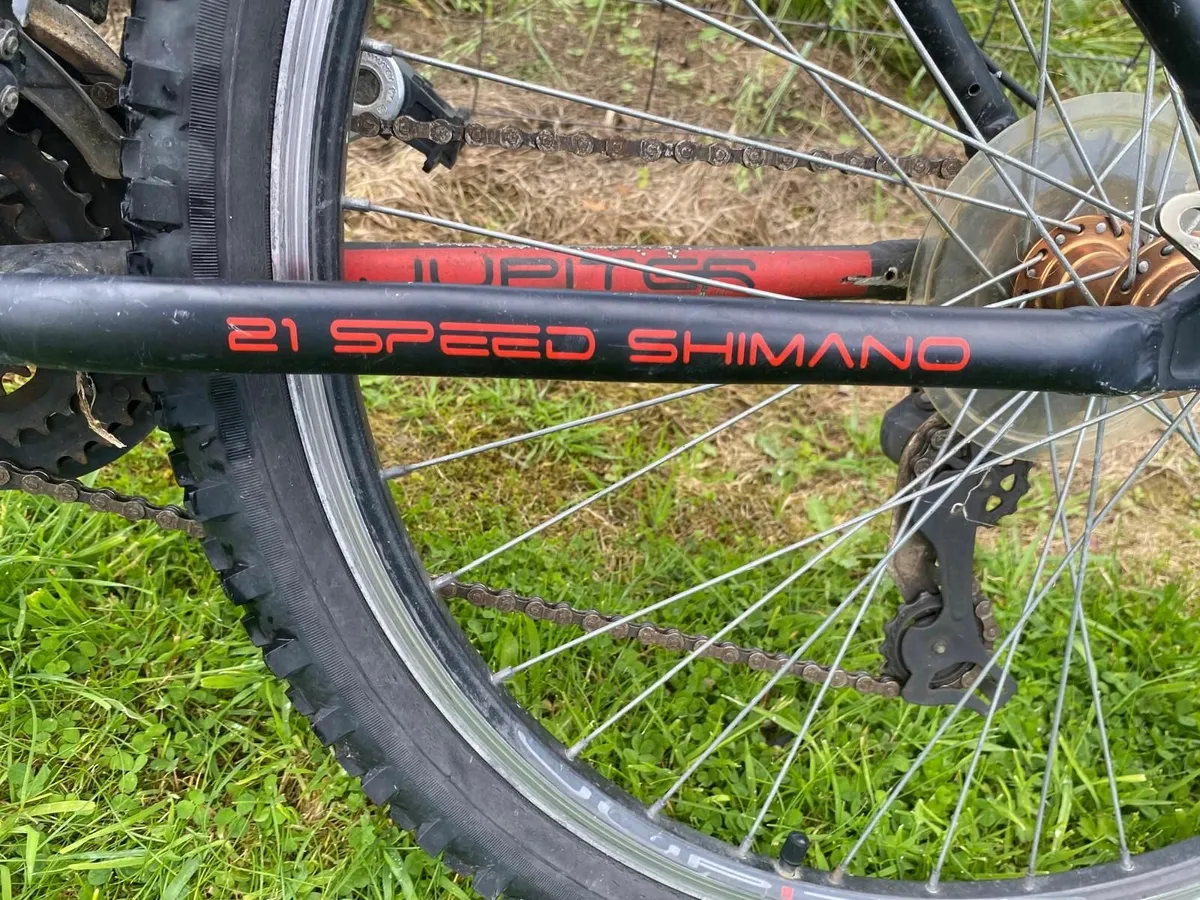 Teenager Mountain Bicycle - Image 2