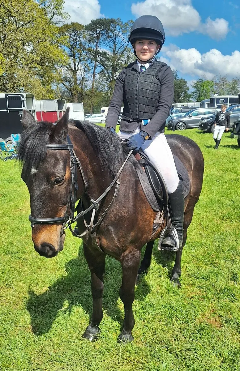Exceptional childs Pony 13hh - Image 1