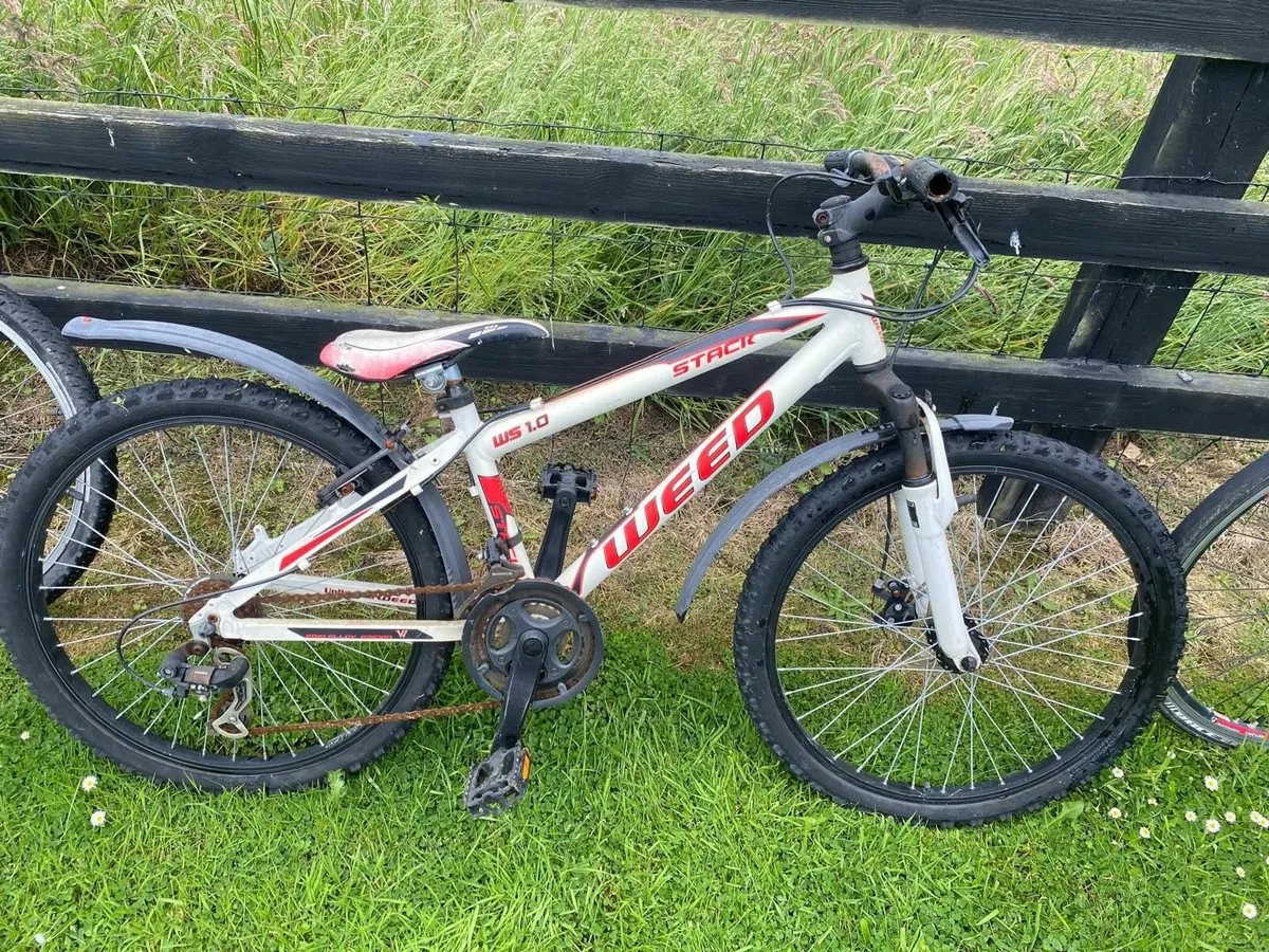 Boys Mountain Bike - Image 1