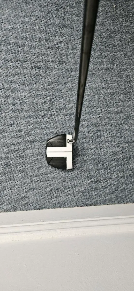 Taylormade Spider FCG - Image 2