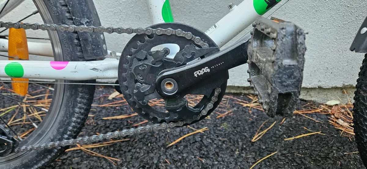 Frog bike - Image 2