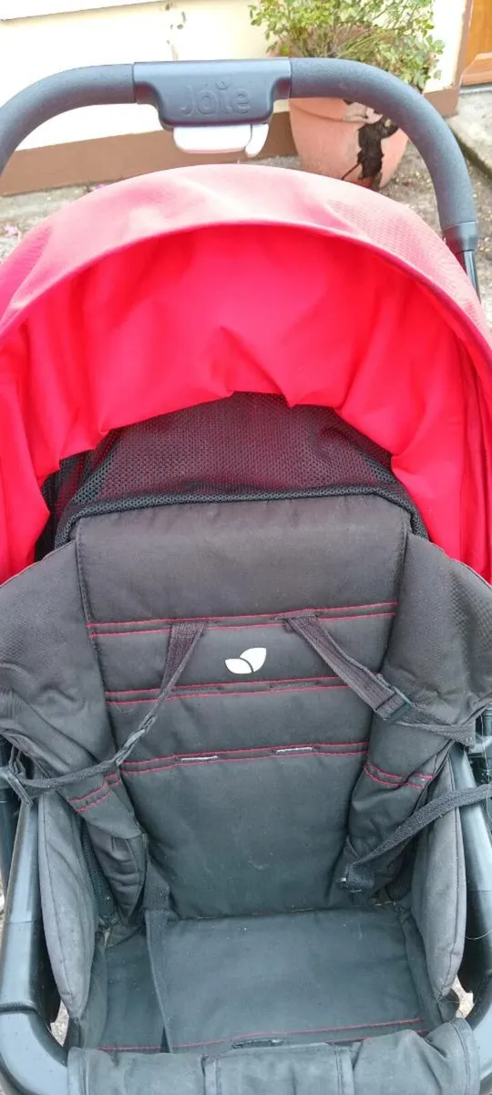 Buggy - Image 2