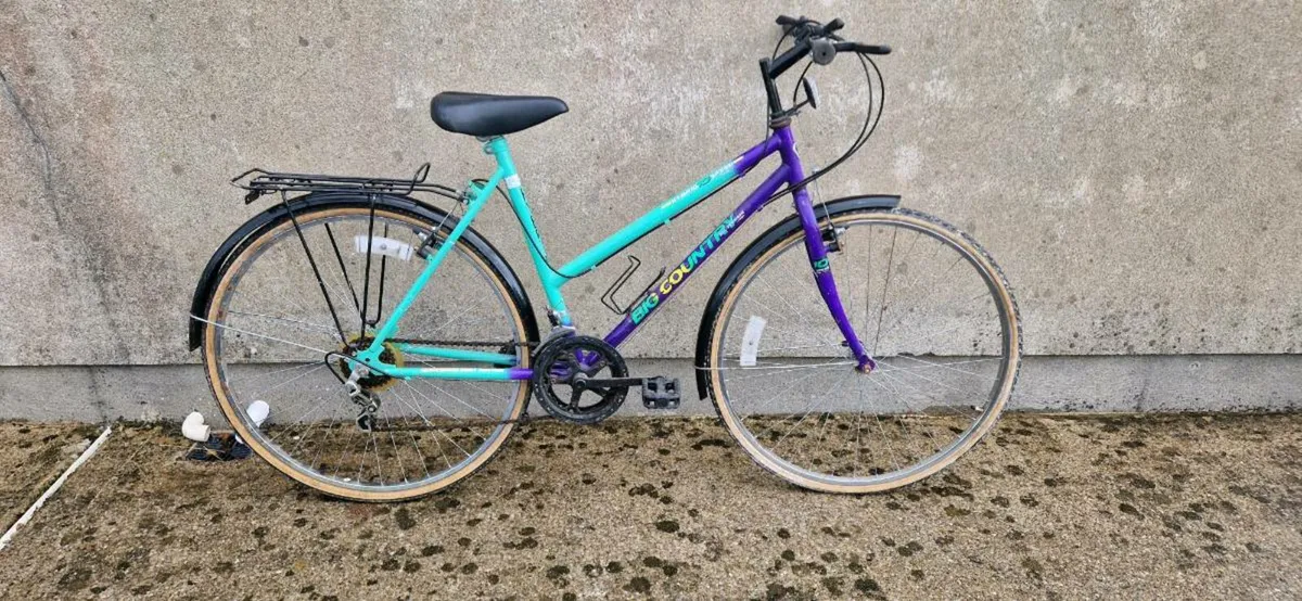 Mountain bike - Image 1