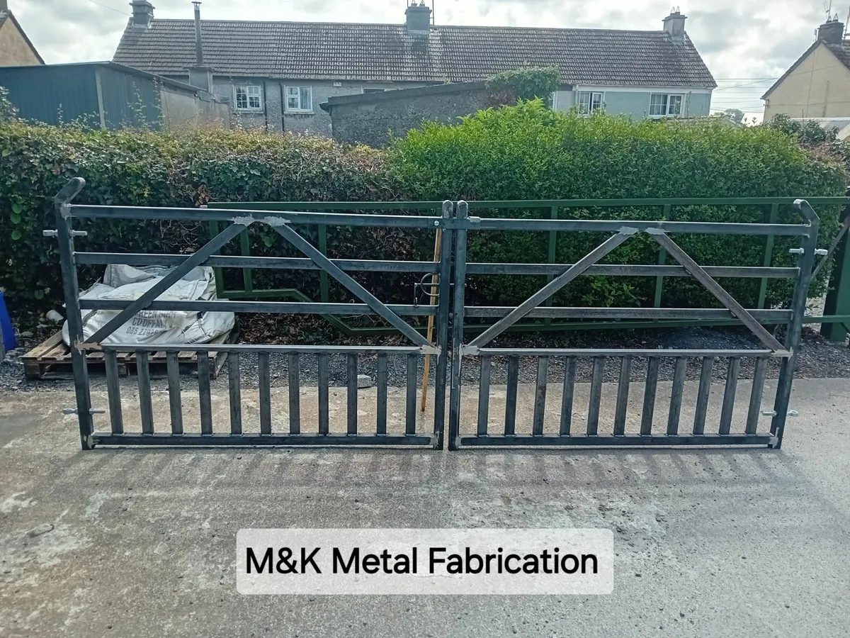 Ranch style metal gates - Image 1