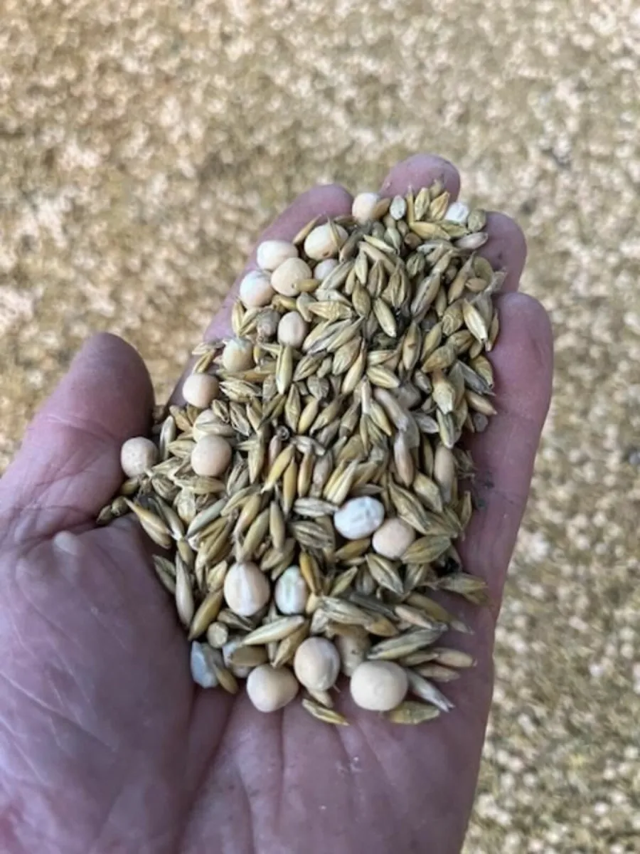 Organic Combi Crop - Image 1
