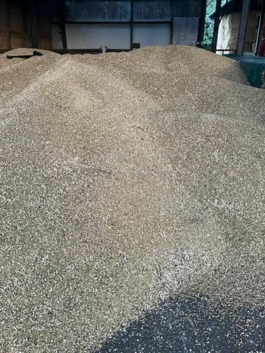 Organic Combi Crop - Image 2