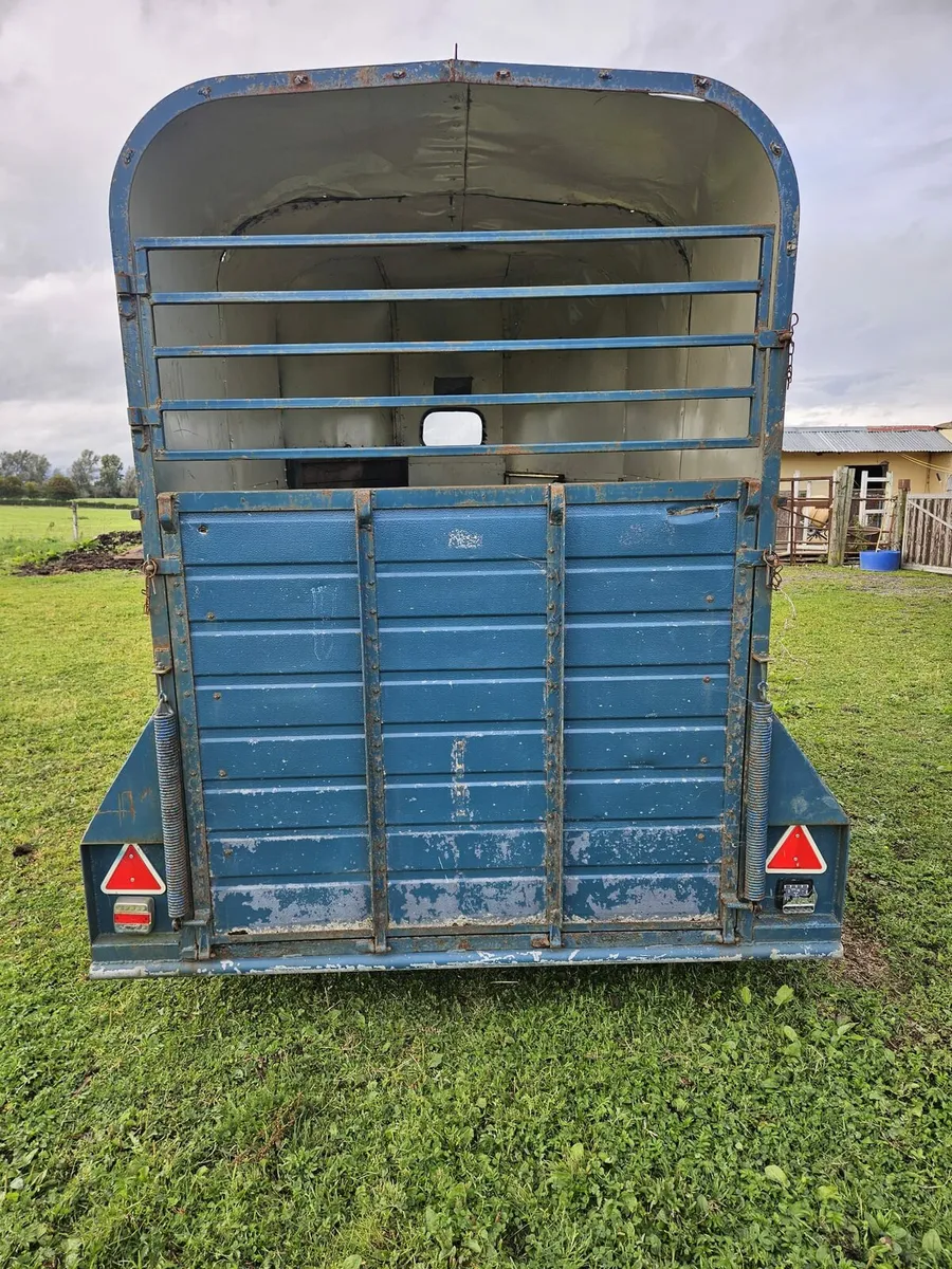 Horse box - Image 3
