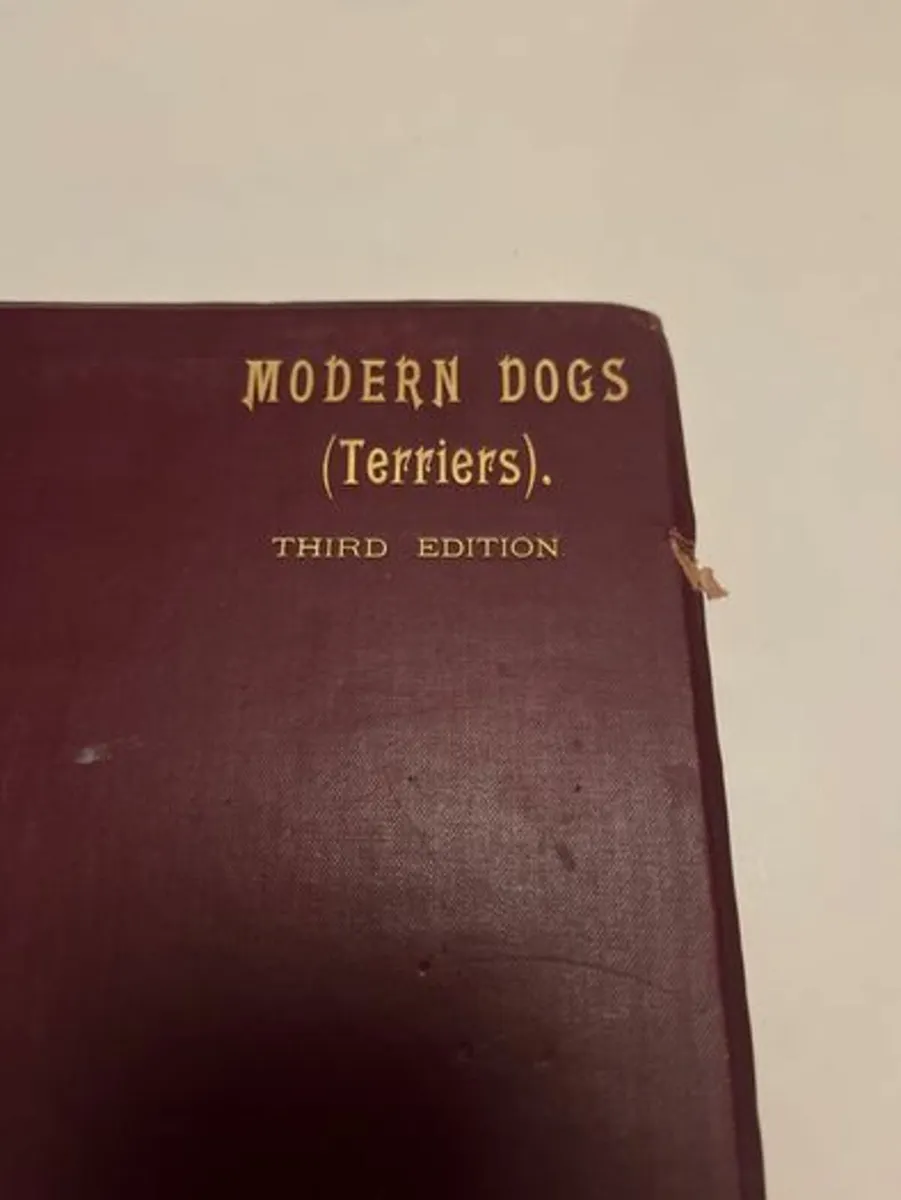 Modern Dogs : Terriers. 1903. Rawdon B.Lee. H/B - Image 2