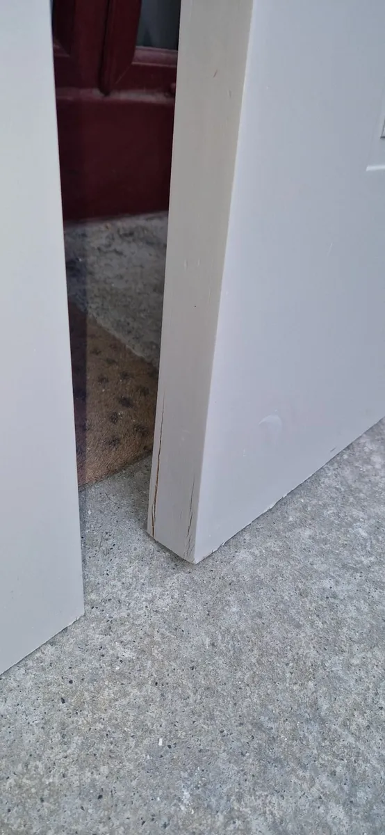 Doors - Image 3