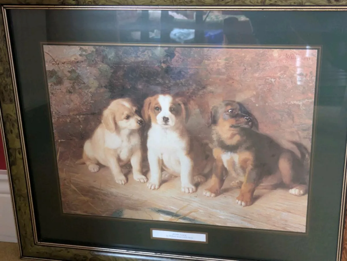 Puppy Love Print in Frame - Image 2