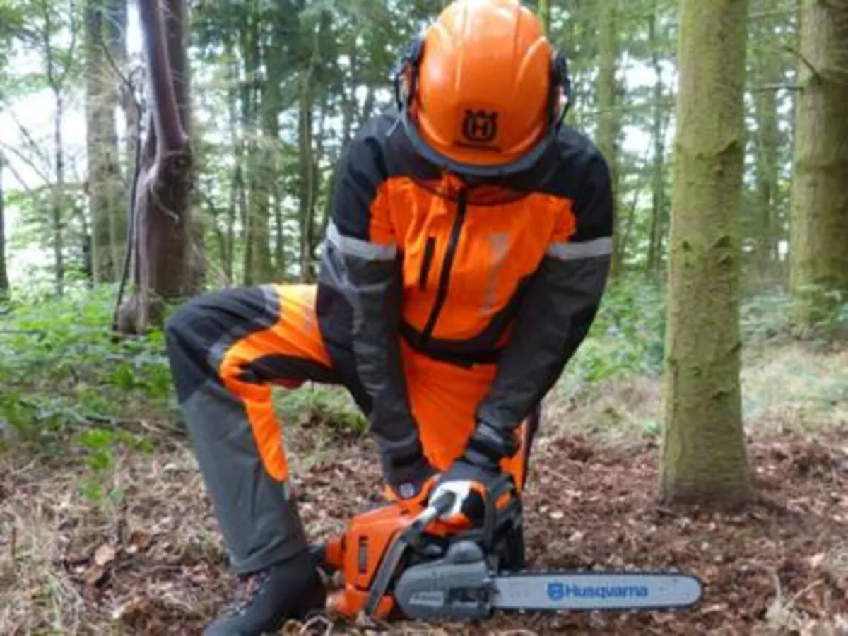 Gardening And Maintenance Services - Image 1