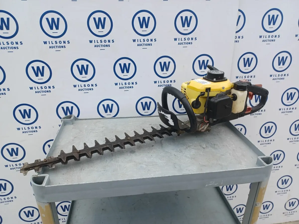 Online Auction Of A Petrol Hedge Trimmer & More! - Image 1