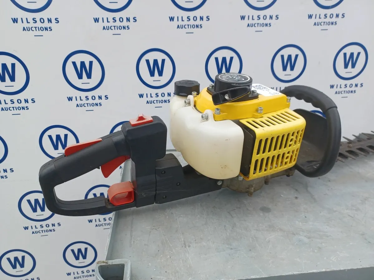Online Auction Of A Petrol Hedge Trimmer & More! - Image 2