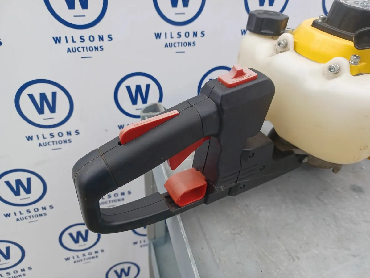 Online Auction Of A Petrol Hedge Trimmer & More! - Image 3