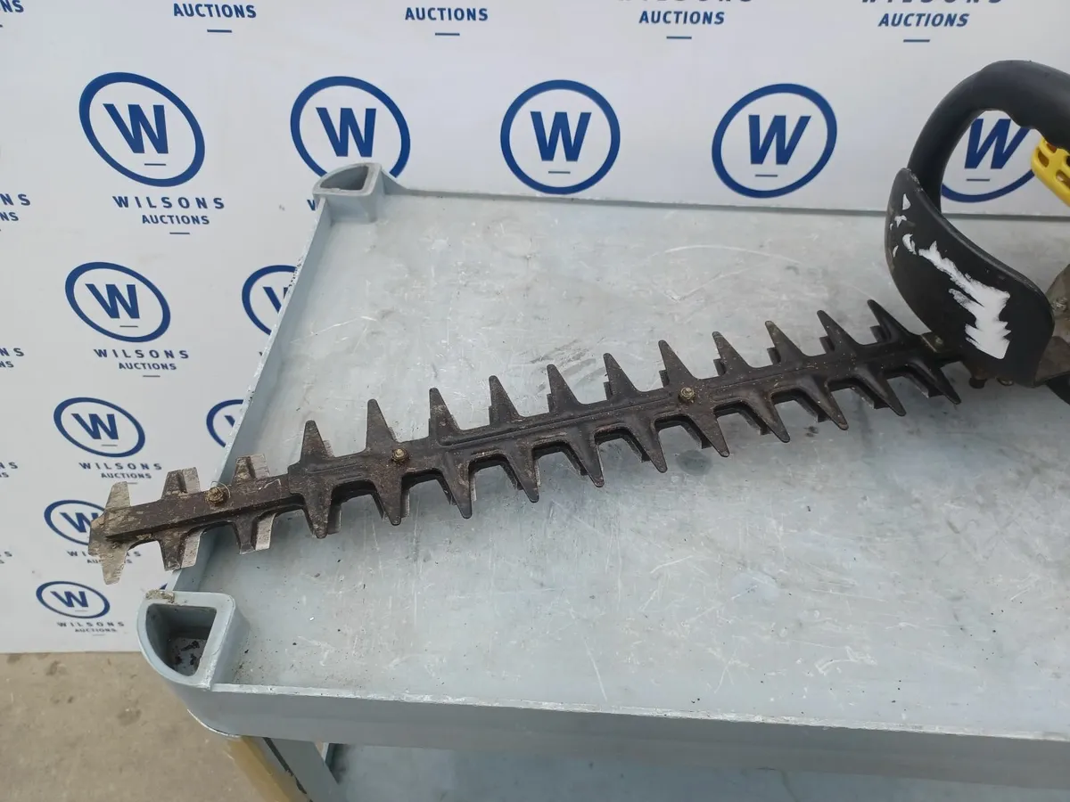 Online Auction Of A Petrol Hedge Trimmer & More! - Image 4