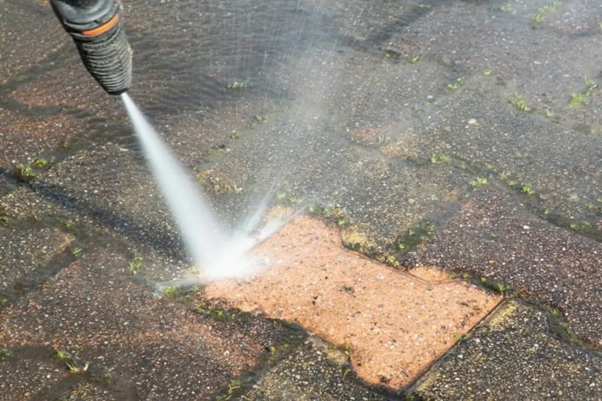 Gardening And Maintenance Services - Image 2