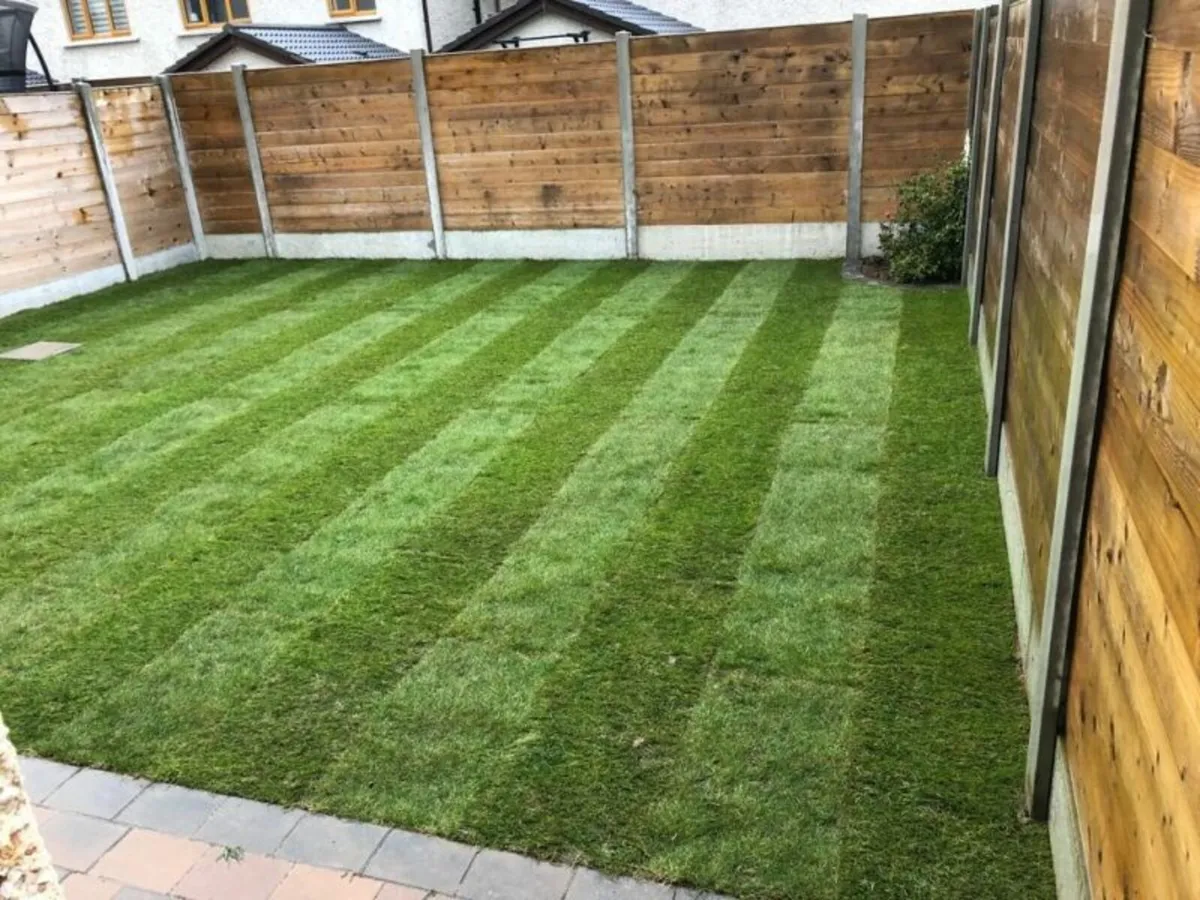 Gardening And Maintenance Services - Image 3
