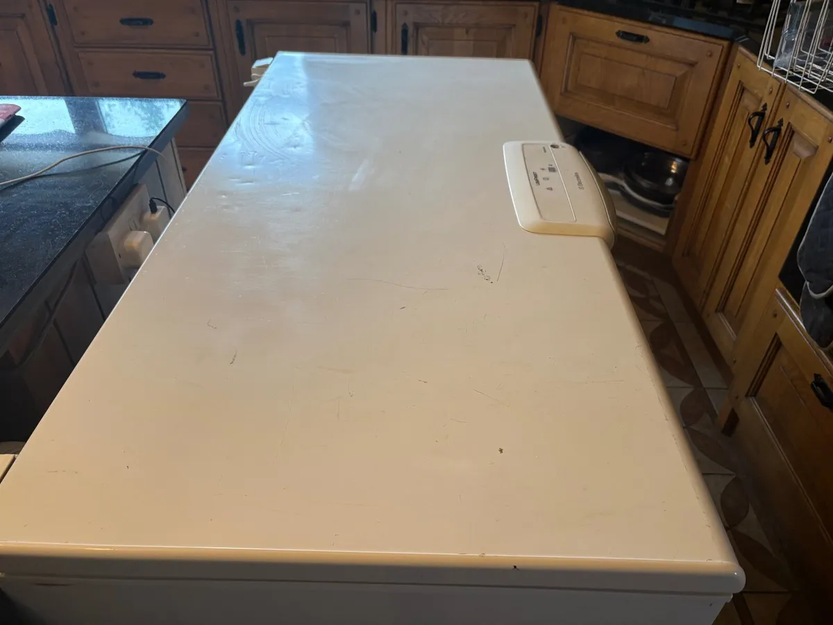 Large chest freezer - Image 1