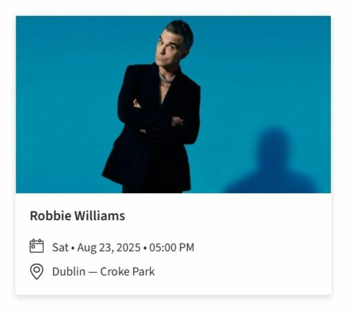 Robbie Williams Premium Level, Sat 23rd Aug - Image 1