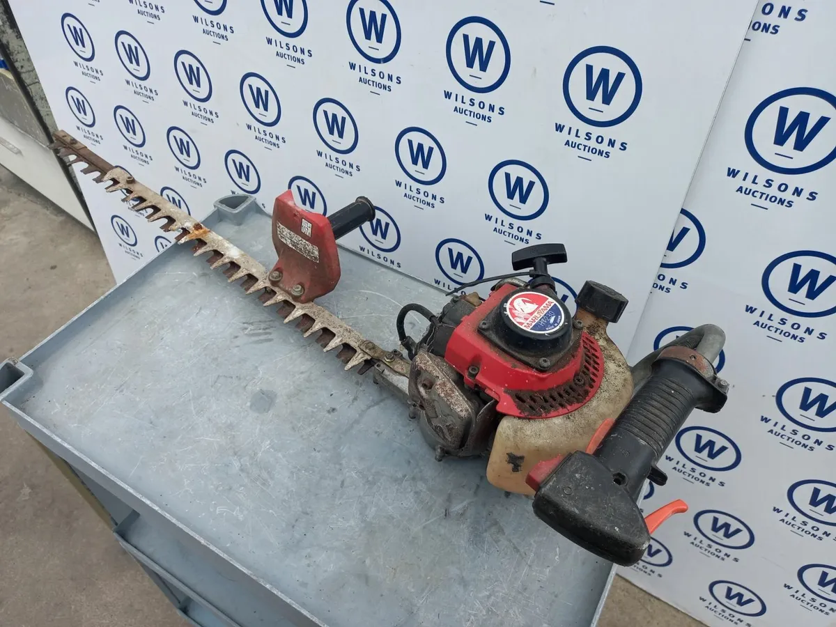 Online Auction Of A Petrol Hedge Cutter & More! - Image 1