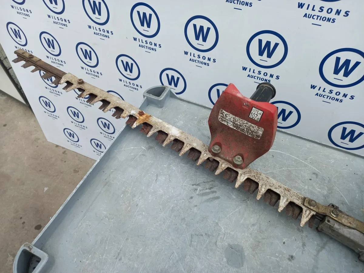 Online Auction Of A Petrol Hedge Cutter & More! - Image 2