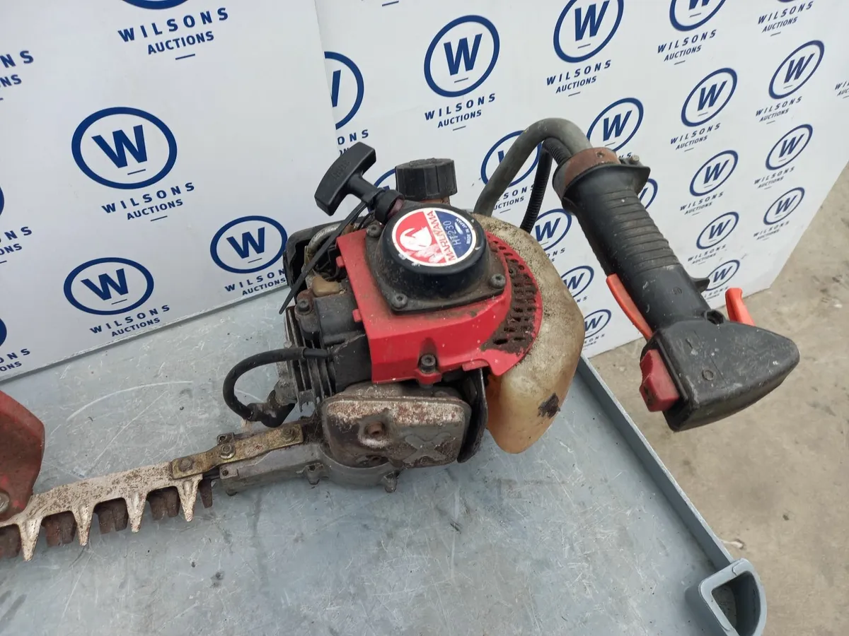 Online Auction Of A Petrol Hedge Cutter & More! - Image 3