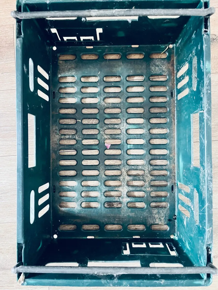Two hard plastic boxes - Image 2