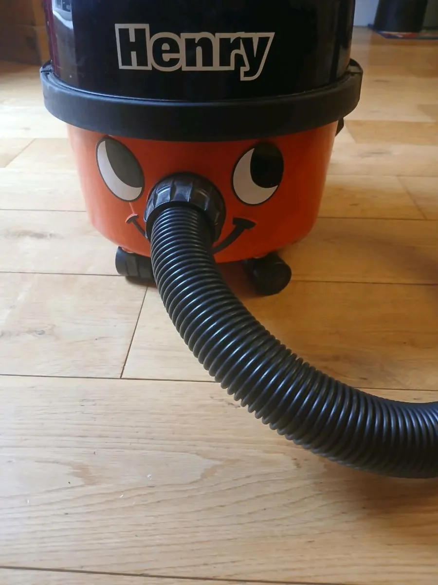 Henry Hoover - Image 1