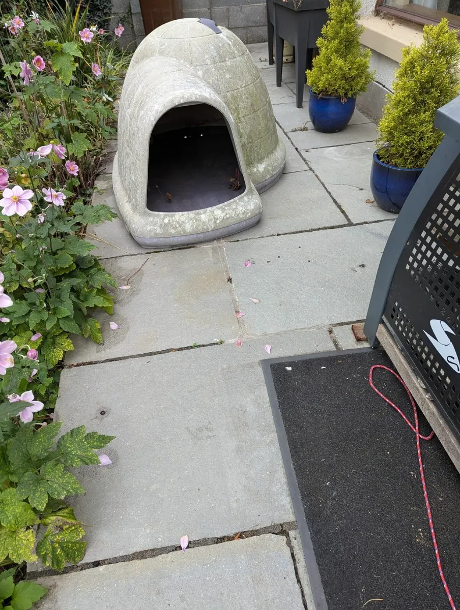 Dog kennel - Image 1