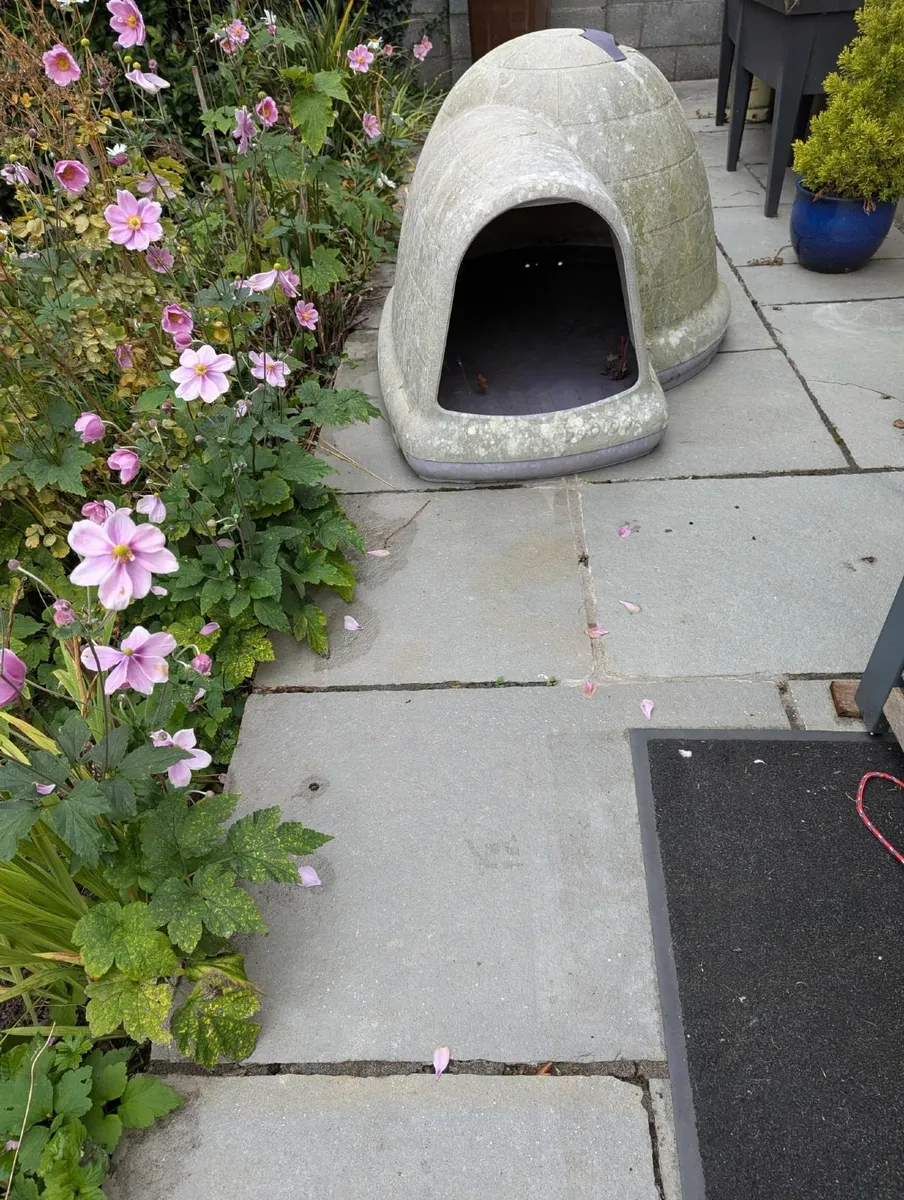 Dog kennel - Image 2