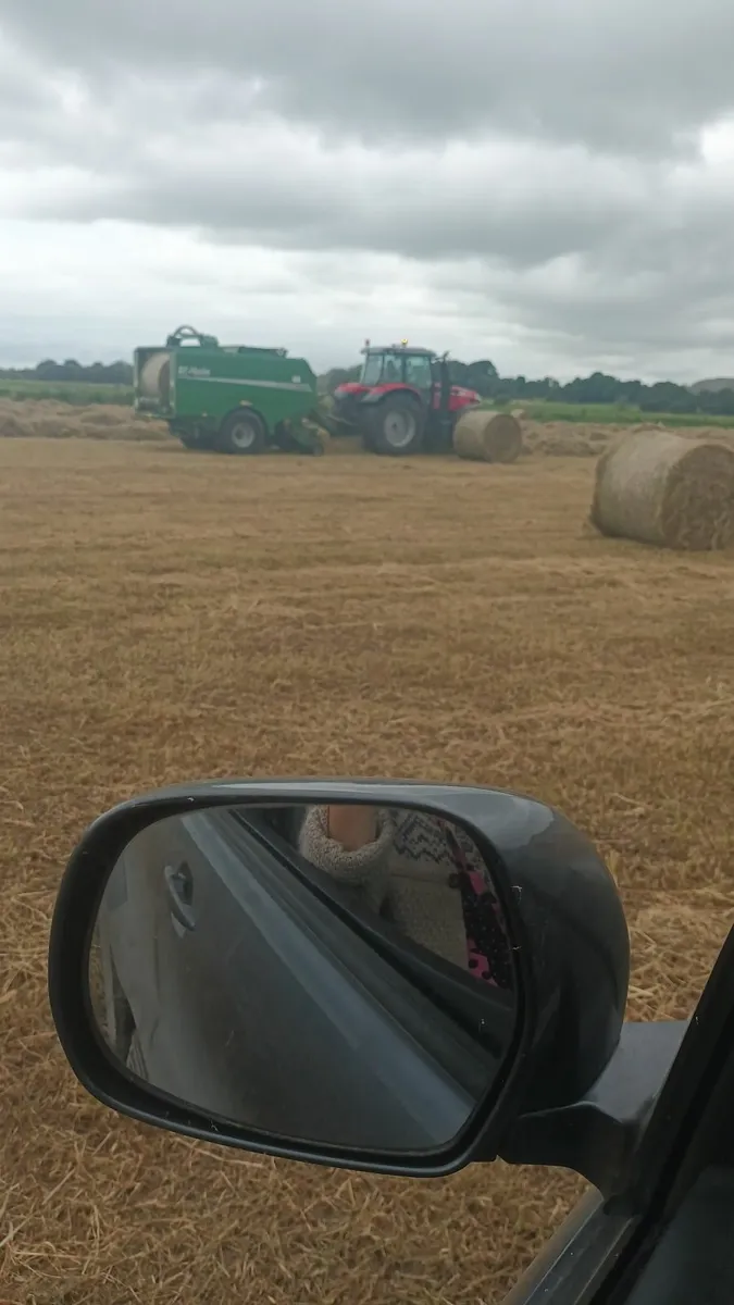 Callow Hay - Image 2