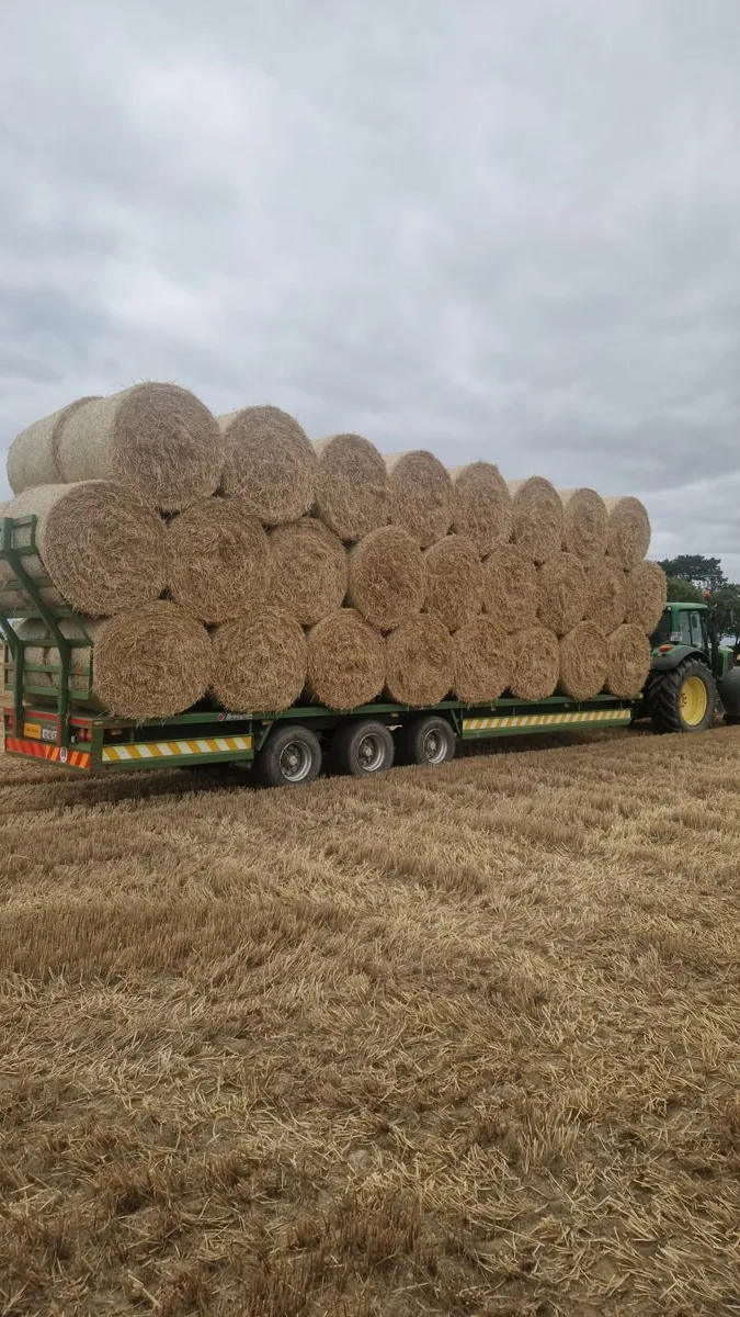Barley and wheat straw - Image 1