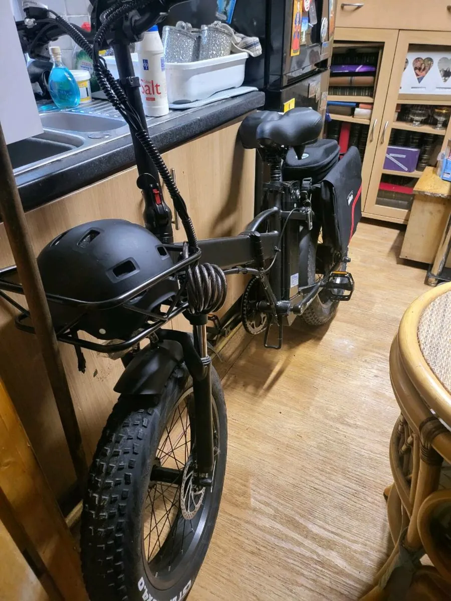 Electric bike - Image 1