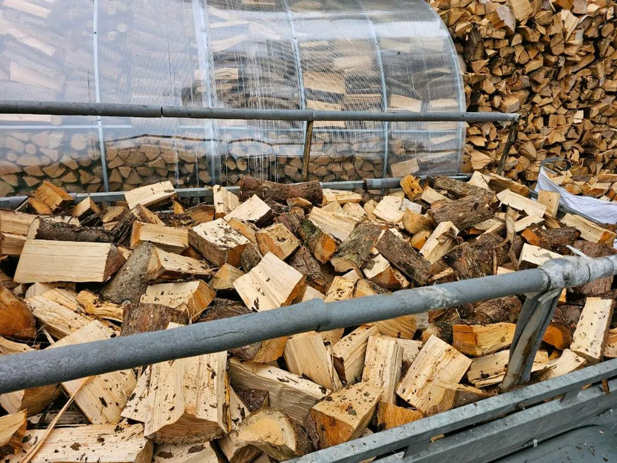 Firewood - Image 2