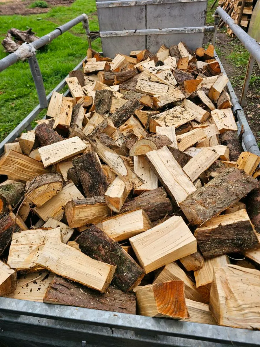 Firewood - Image 3