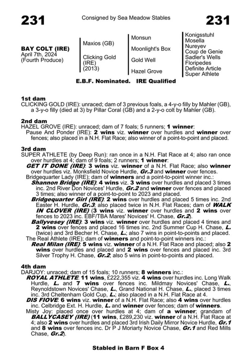 Mare by Gold Well - Image 1