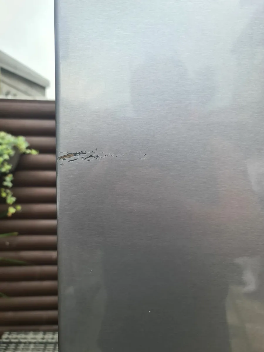 Hisense RB335N4WG1 Fridge Freezer - Image 3