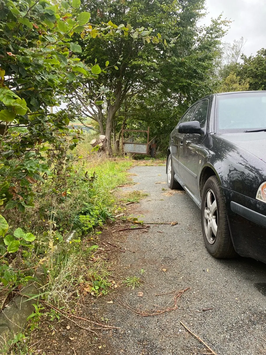 Mk1U Skoda Octavia - Image 4