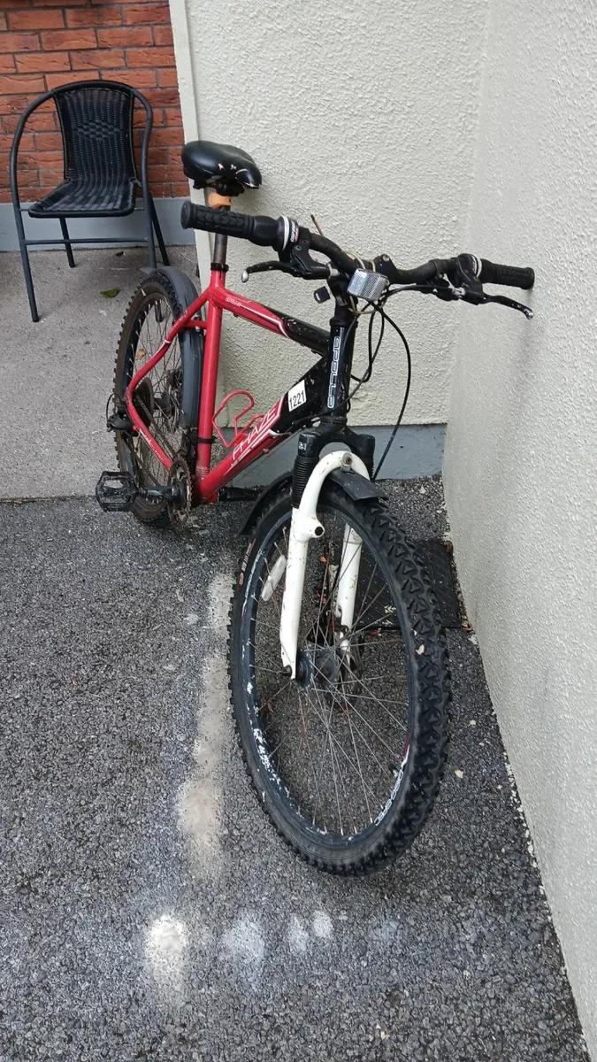 Bike - Image 2